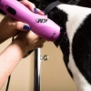 Picture of Wahl Professional Animal KM5 2-Speed Pet, Dog, and Horse Clipper Kit